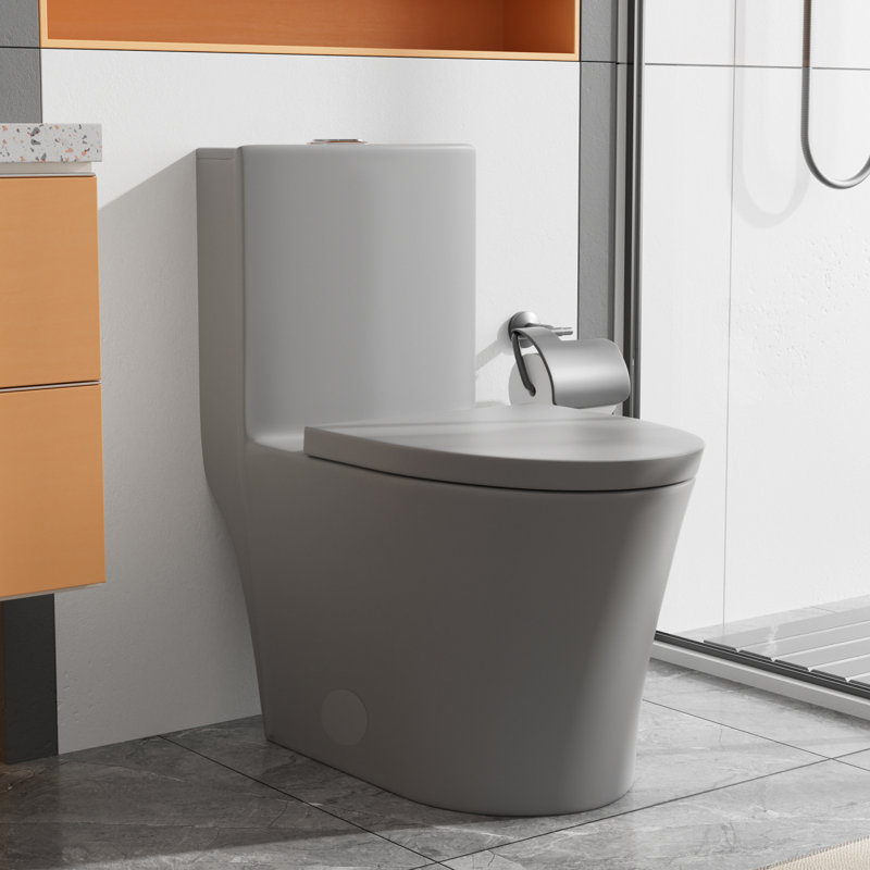 Elongated One Piece Toilet Dual Flush 1.1/1.6 GPF Water Saving Map 1000G, Gray