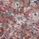 Jaelyne Oriental Indoor Rug