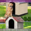 Niche pour chien Shelia-1525004924-1532138643