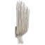 Chapman & Myers Astra 17" Sculpted Sconce-990040841