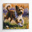 «Dogs Berger Picard», art mural sur toile-1897637067