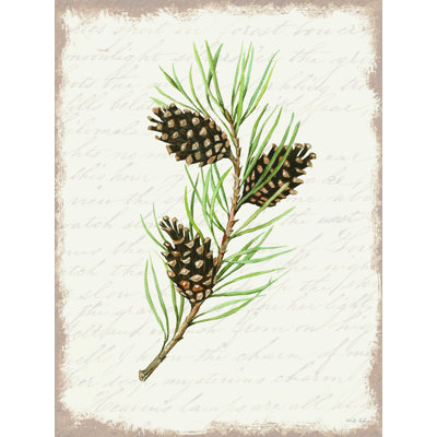 " Pine Cone Botanical I " by Cindy Jacobs
