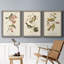 Oiseau de riz Wandering, reproduction d'art sur toile-1813864245-1813864143