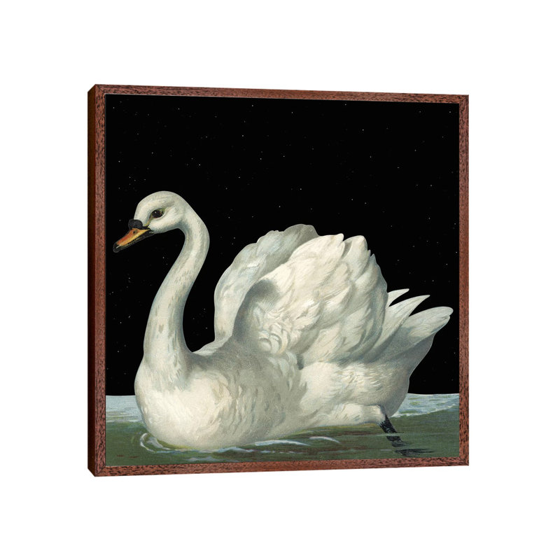Swan In Night by Mirano - Painting on Canvas, Classic Brown Wood Framed, 93.98cm H x 93.98cm W x 3.81cm D