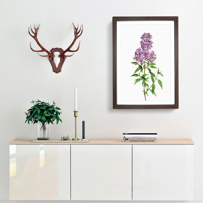 Persian Lilac Flowers by Pierre-Joseph Redoute - Picture Frame Painting Print, Walnut Framed, 36cm H x 27cm W x 2cm D