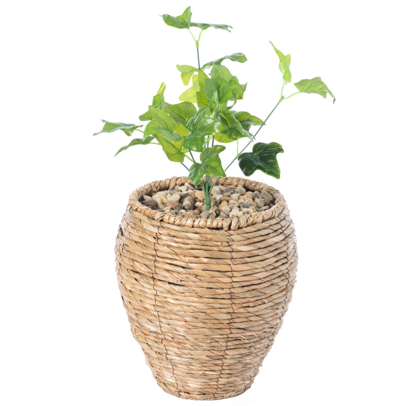 Mckee Pot Planter, 10.5" H x 8.5" W x 8.5" D