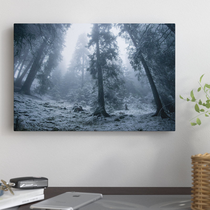 « the first snow », reproduction de photo sur toile, H 12 po x l 18 po x P 1,5 po, Toile tendue