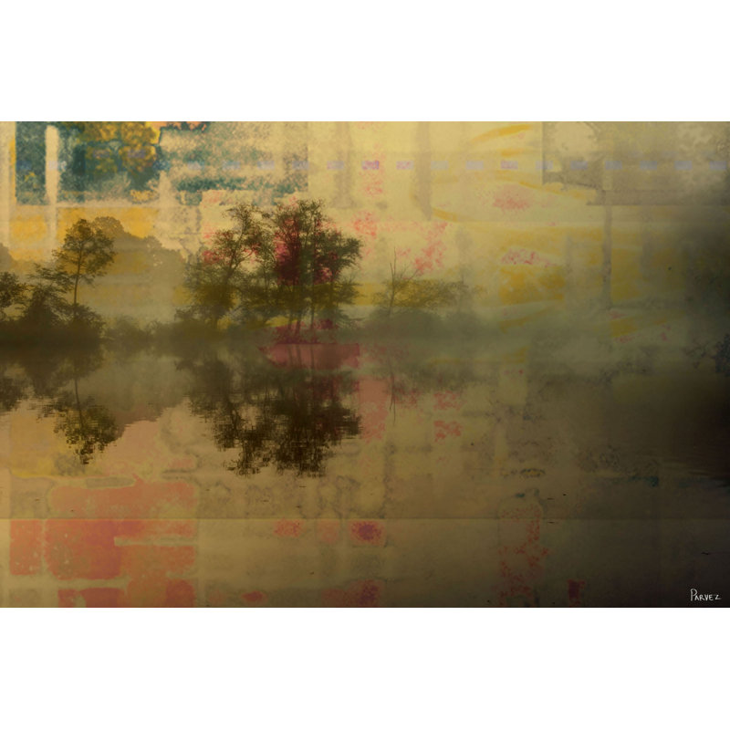 Parvez Taj - Wrapped Canvas Print, 30cm H x 45cm W
