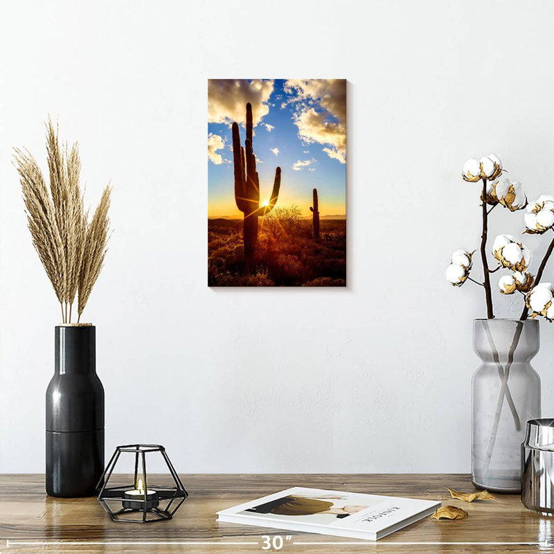 Parc national Aime Saguaro Est V, H 12 po x l 8 po
