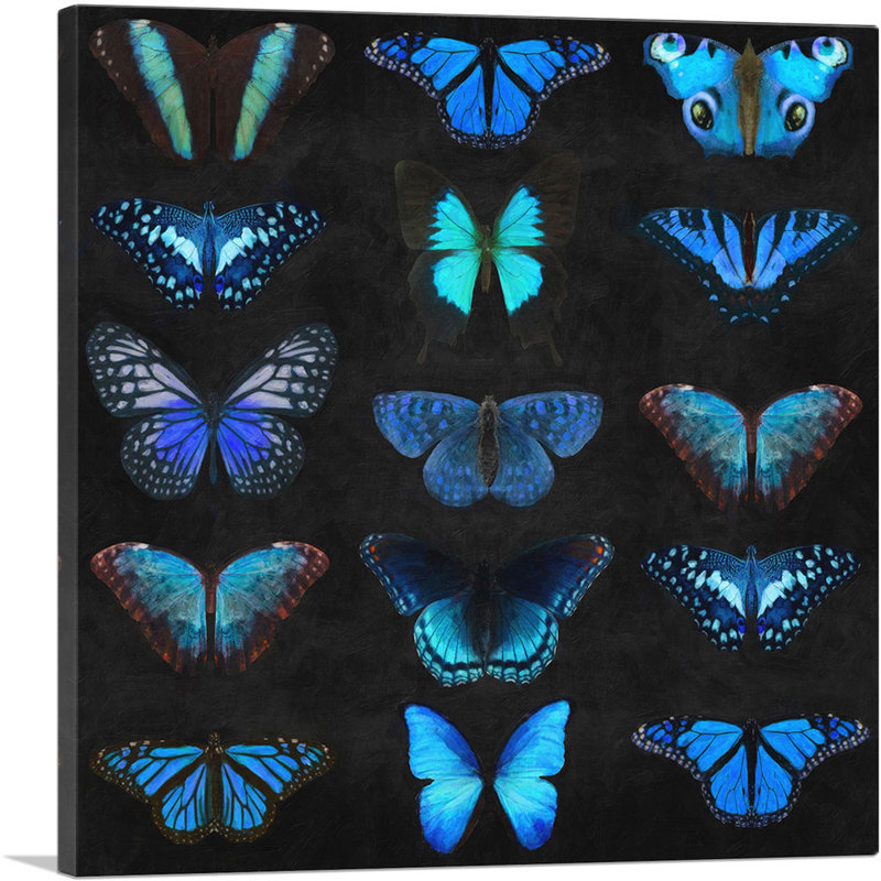 Impression sur toile tendue, bleu marine, papillon bleu, ailes de papillon, H 12 po x l 12 po x P 1,5 po