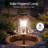 Bird Bath-1353438700