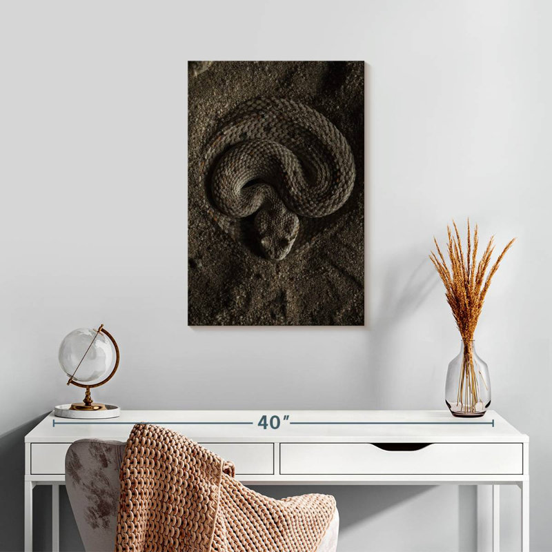 Brampt Coiled Horned Rattlesnake, 24" H x 16" W