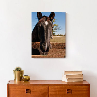 " Horse Head "