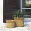 Mullen Handmade Pot Planter - Set of 2