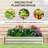 Galvanized Raised Garden Bed, 4' x 2' x 1' Metal Planter Box, for Growing Vegetables, Flowers, Herbs, Succulents, Silver