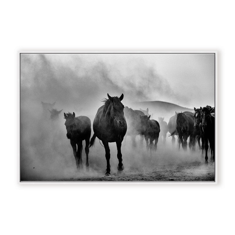 Nature Inspired Untitled by  - Picture Frame Photograph on Paper, 16" H x 24" W x 1.125" D, Black, Framed Matted Print
