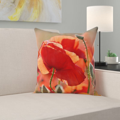 Coussin décoratif