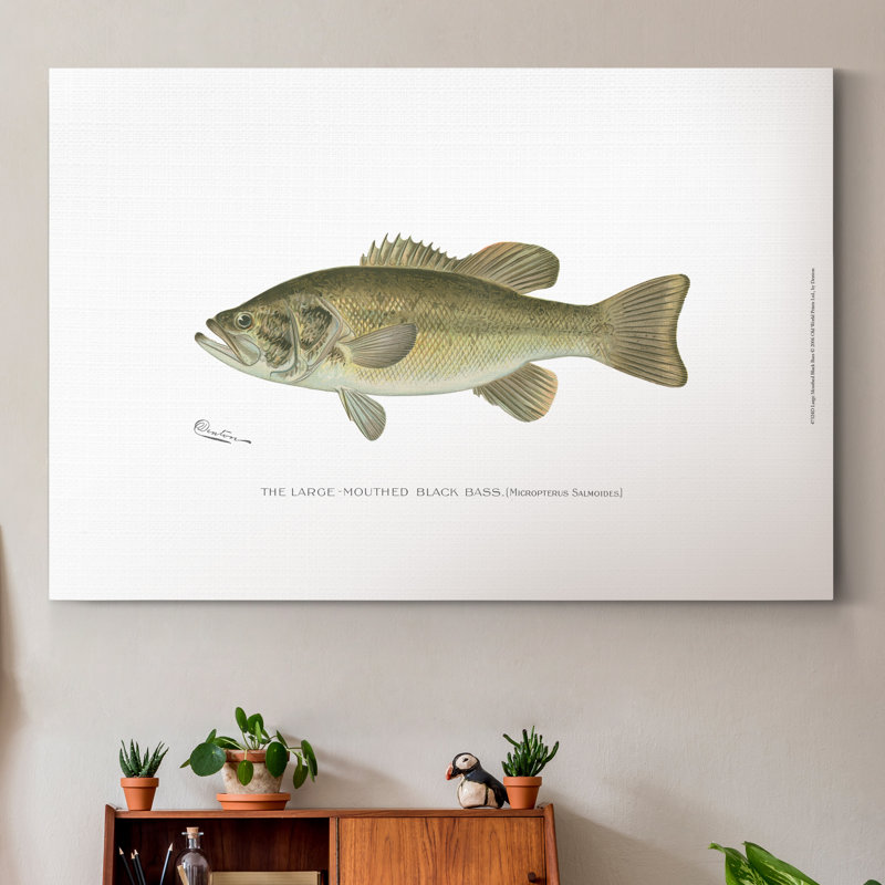 « Large-Mouthé Black Bass », impression sur toile, H 48 po x l 32 po x P 1 po