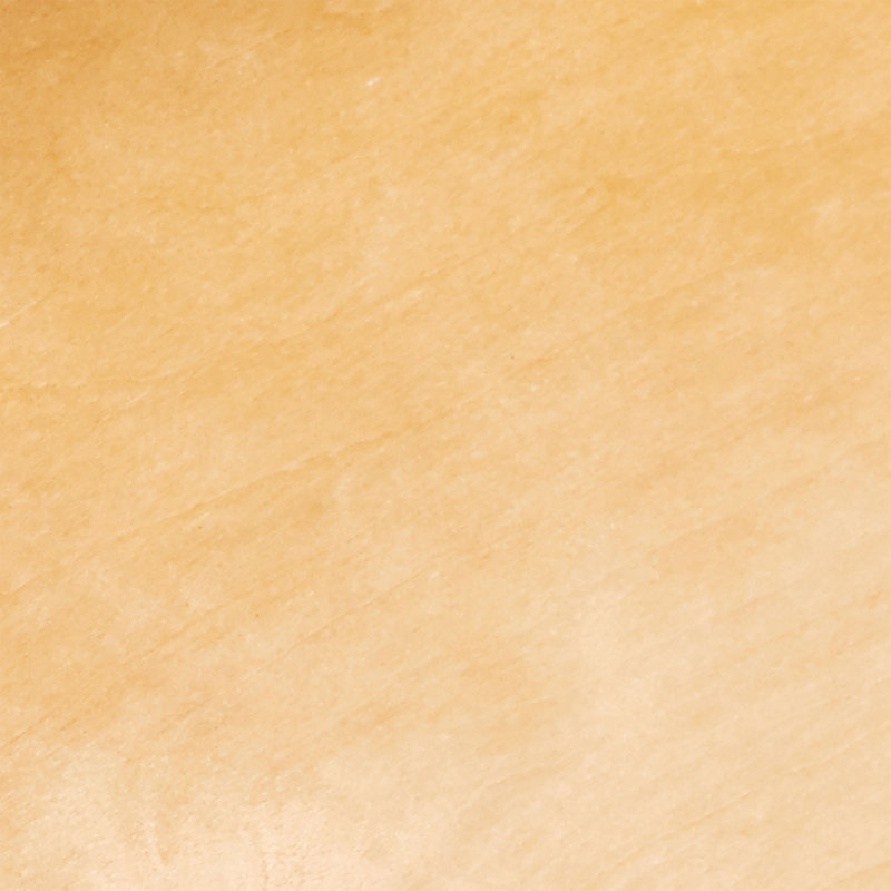 Steel Door/Wall Mount Spice Rack Pantry Shelf Organizer