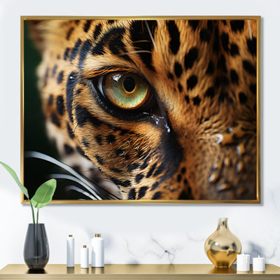 " Leopard Eye Closeup Wildlife Encounters "