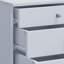 Rayiona 42cm Wide File Cabinet-625725787-625725786