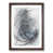 Walnut Framed