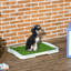 Polyester Pet Bed