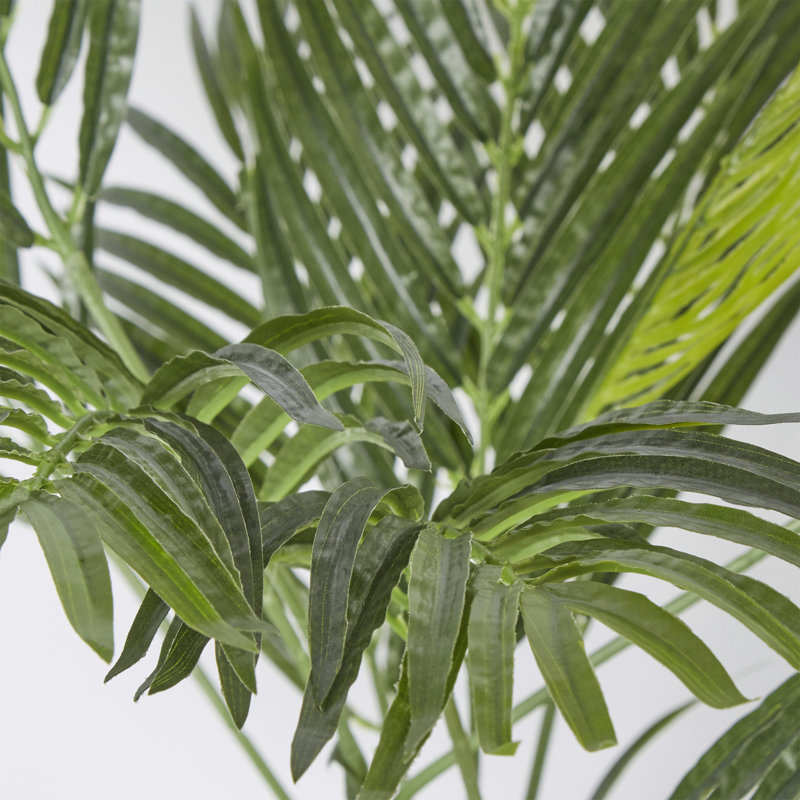 Areca Palm Tree in Pot, 30" H x 24" W x 24" D