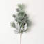 Pena Pine Spray