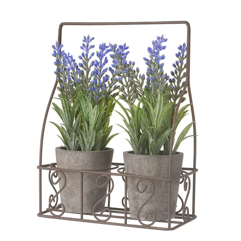 Lavender Arrangement in Pot