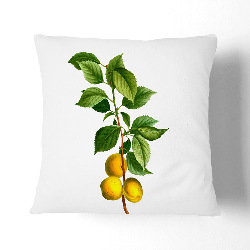 Square Throw Cushion, Stone, 55cm H x 55cm W x 20cm D