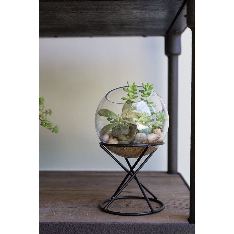 Boolia Terrarium, 7.50" H x 4.75" W x 4.75" D