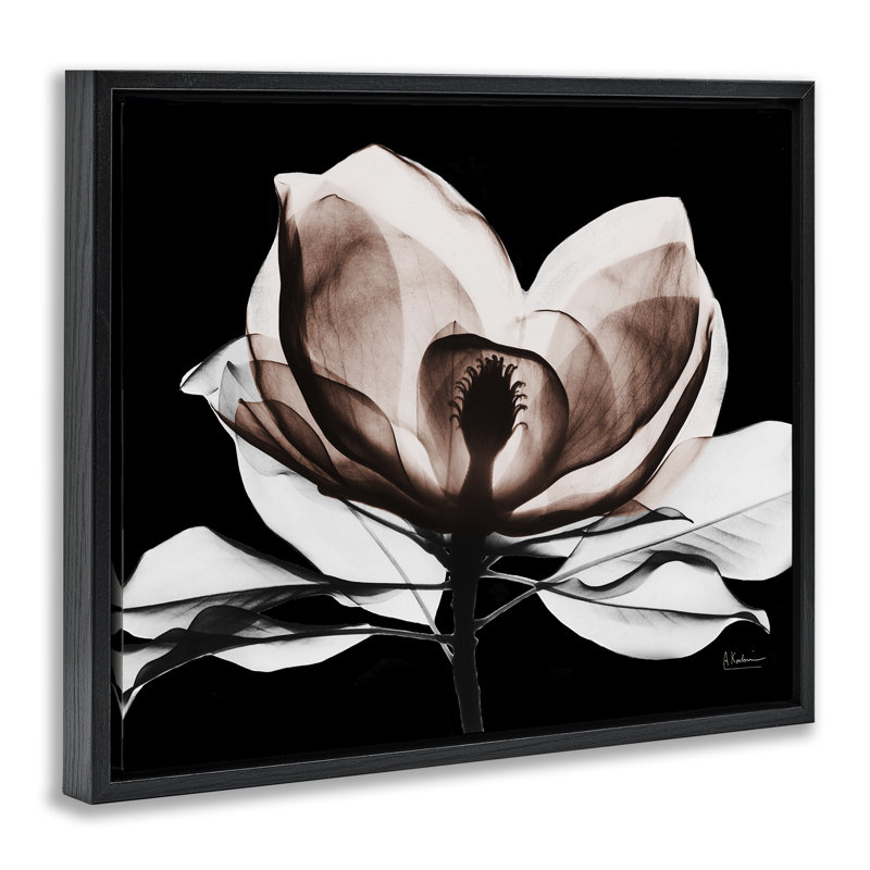 Modern Mocha Magnolia  Framed Floater Canvas Wall Art, design by Albert Koetsier, Jet Black Floater Frame, 17" H x 21" W