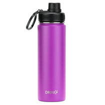 https://assets.wfcdn.com/im/16957722/resize-h210-w210%5Ecompr-r85/2281/228143801/Drinco+24oz.+Insulated+Stainless+Steel+Water+Bottle.jpg