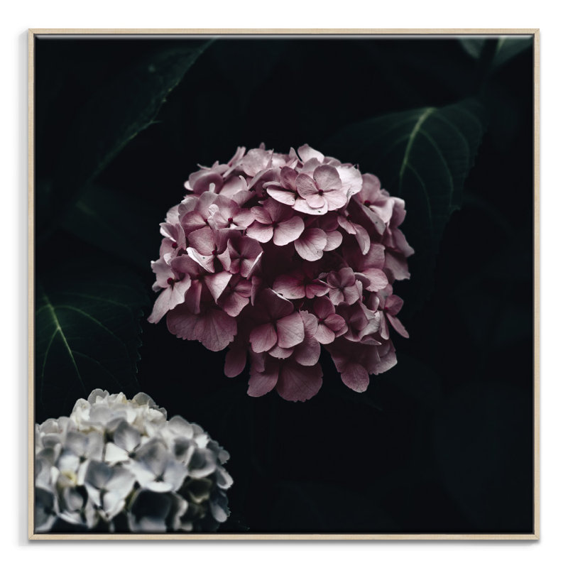 Print on Canvas, 102cm H x 102cm W, Black Floater Frame
