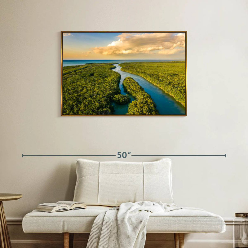 Parc national des Everglades, Cadre flottant doré, 37 po x 25 po