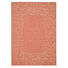 Terre Cuite Et Beige