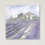 Lavender Fields par Debi Coules - Estampe numérique sur toile tendue avec châssis-1523266518-1603705005