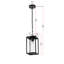 Luminaire suspendu d'extérieur 6 pouces Cran Mickle en noir