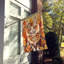 Chat en feuilles d'automne-112700469
