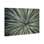 «Centric Succulent Leaves», art mural sur toile par Susan Bryant