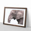 Portrait of an Elephant - Picture Frame Painting Print-56758690-56758694