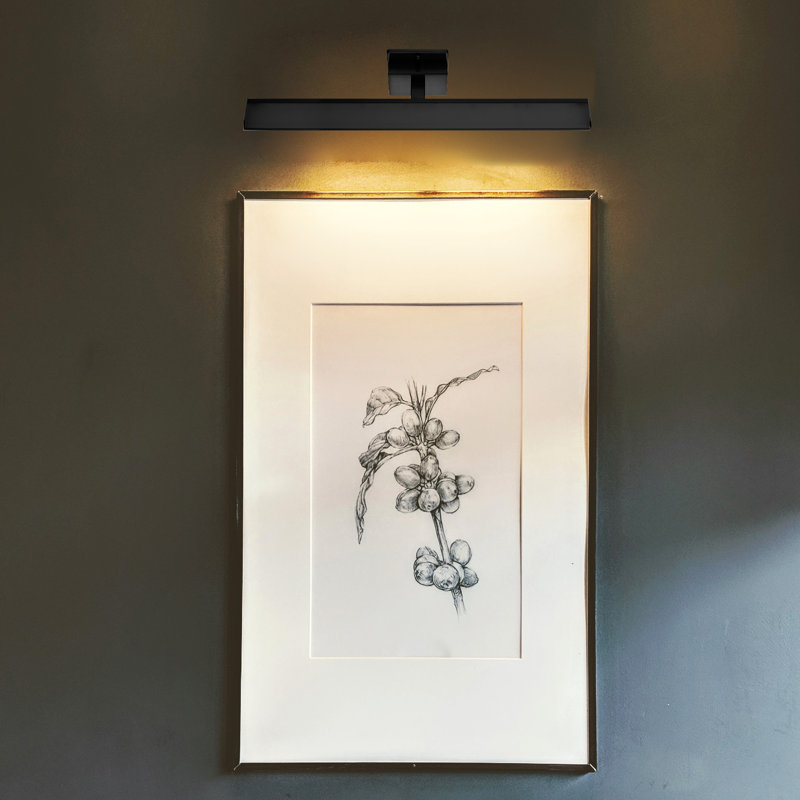 Luminaire mural à 1 lumière DEL Carralero