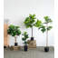 55.1'' Faux Fiddle Leaf Fig Tree in Cement Pot