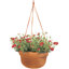  Panier en résine terre cuite H 6,8 po x l 12,5 po x P 12,4 po Dura Cotta-15991594-15991596