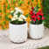 Ravn Planter