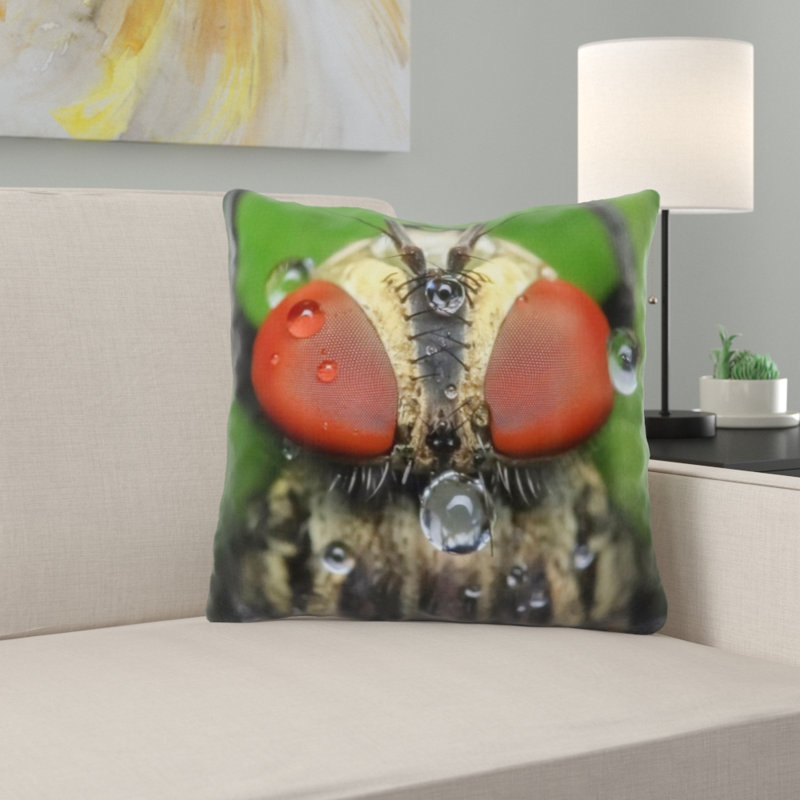 Coussin housefly