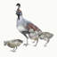 Quail With Chicks Painting by Fern Cassidy-938783580-922992600