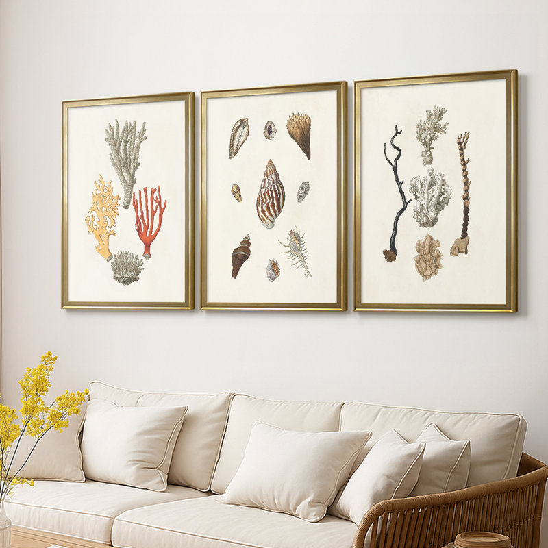 Knorr Shells & Coral IV - Toile tendue avec châssis sur mesure - 3 pièces, H 27 po x l 39 po