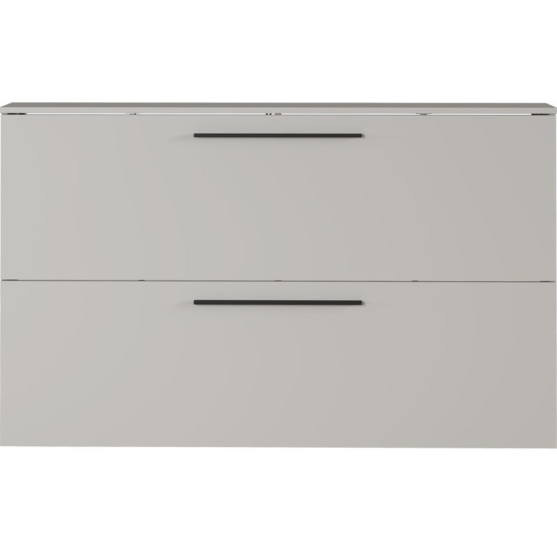 Damaiah 12 Pair Flip Down Shoe Storage, Grey